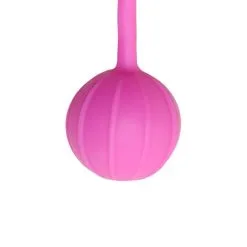 Easytoys Liebeskugeln Mit Vertikalen Riffeln In Pink -Sexspielzeug für die Vagina Geschäft easytoys liebeskugeln mit vertikalen riffeln in pink 260638