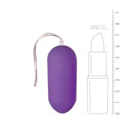 Easytoys Vibro Ei Vibrierendes Ei Mit Fernbedienung - Violett -Sexspielzeug für die Vagina Geschäft easytoys vibro ei vibrierendes ei mit fernbedienung violett 618737