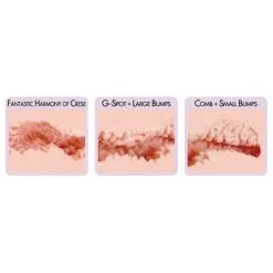 Kokos Masturbator Taschenmuschi Realistische Vagina Pussy Männer Sexspielzeug -Sexspielzeug für die Vagina Geschäft kokos masturbator taschenmuschi realistische vagina pussy manner sexspielzeug 146263