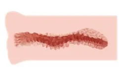 Kokos Masturbator Taschenmuschi Realistische Vagina Pussy Männer Sexspielzeug -Sexspielzeug für die Vagina Geschäft kokos masturbator taschenmuschi realistische vagina pussy manner sexspielzeug 534656