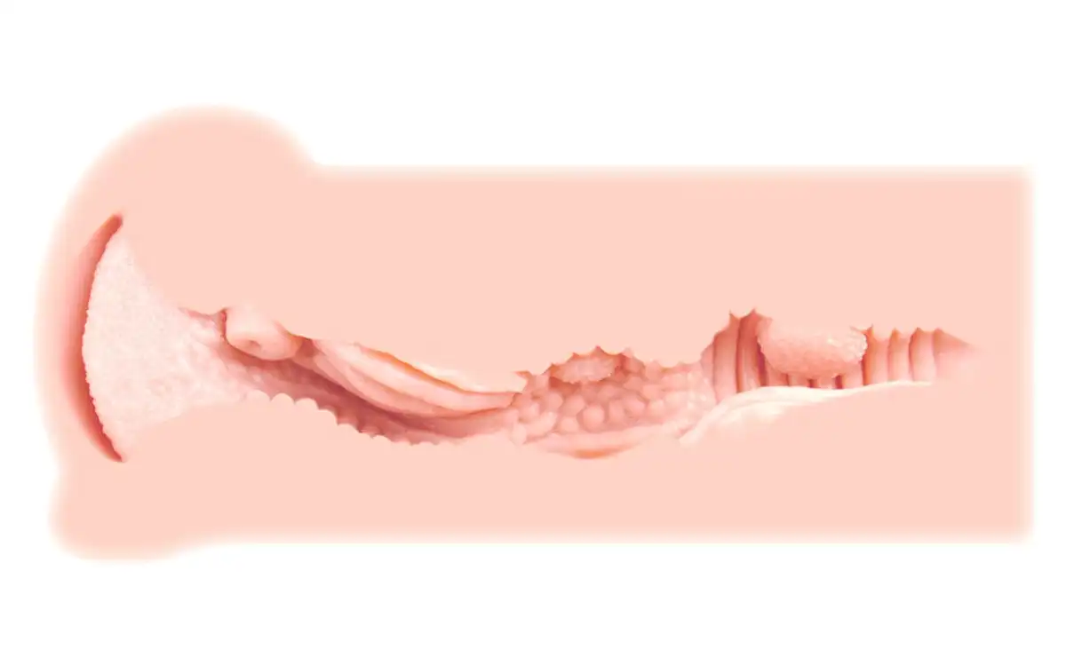 Kokos Masturbator Taschenmuschi Vagina Pussy Nachbildung Realistisch & Gefühlsecht 7 Kokos Masturbator Taschenmuschi Vagina Pussy Nachbildung Realistisch & Gefühlsecht – Bild 7