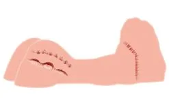 Kokos Masturbator Torso Masturbator Liebespuppe Anal Oral & Realistische Vagina Pussy Sex Sexspielzeug 16 Kokos Masturbator Torso Masturbator Liebespuppe Anal Oral & Realistische Vagina Pussy Sex Sexspielzeug -Sexspielzeug für die Vagina Geschäft kokos masturbator torso masturbator liebespuppe anal oral realistische vagina pussy sex sexspielzeug 306863