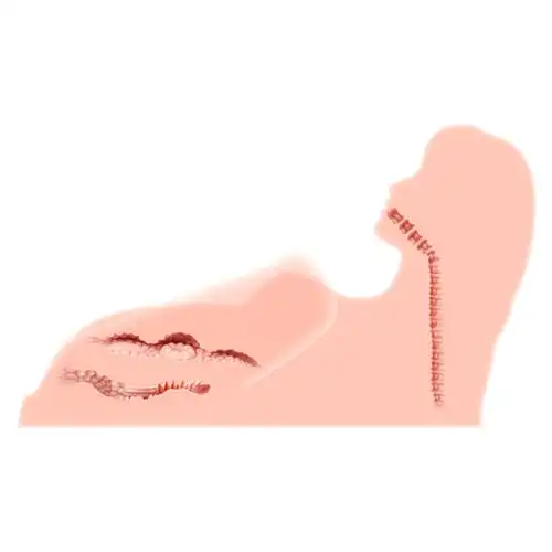 Kokos Masturbator Torso Masturbator Realistische Liebespuppe Vaginal - Oral - Anal Sexspielzeug 5 Kokos Masturbator Torso Masturbator Realistische Liebespuppe Vaginal - Oral - Anal Sexspielzeug – Bild 5