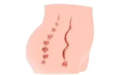 Kokos Masturbator Torso Masturbator Taschenmuschi Anal Realistische Vagina Pussy Männer Sexspielzeug -Sexspielzeug für die Vagina Geschäft kokos masturbator torso masturbator taschenmuschi anal realistische vagina pussy manner sexspielzeug 858146