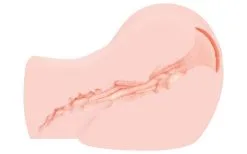 Kokos Masturbator Torso Masturbator Torso Mit Vaginaler Öffnung Lebensecht Sexspielzeug Für Männer -Sexspielzeug für die Vagina Geschäft kokos masturbator torso masturbator torso mit vaginaler offnung lebensecht sexspielzeug fur manner 582026