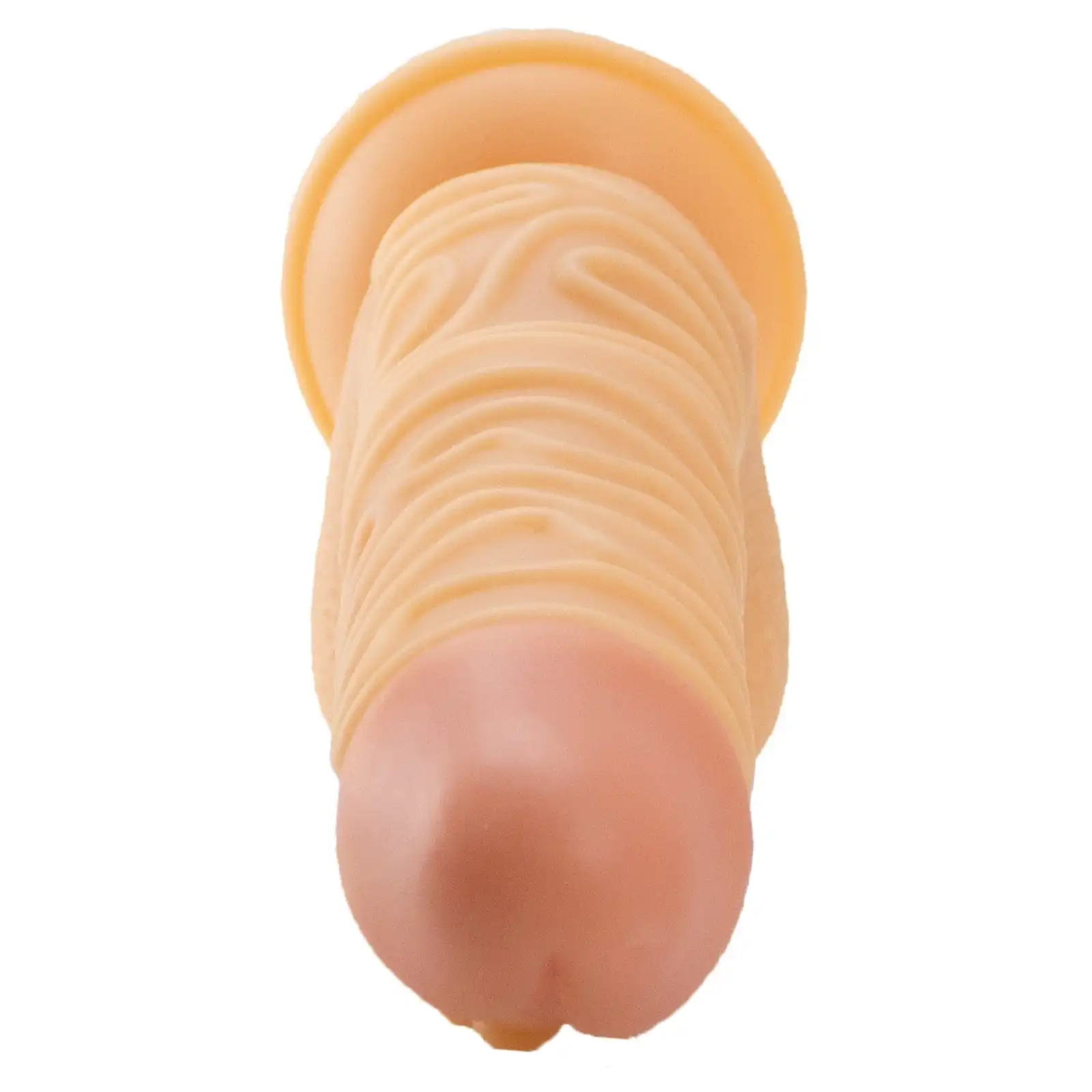 Marielove Saugnapfdildo 24cm Dildo Genoppt Und Gewellt 5 Marielove Saugnapfdildo 24cm Dildo Genoppt Und Gewellt – Bild 5